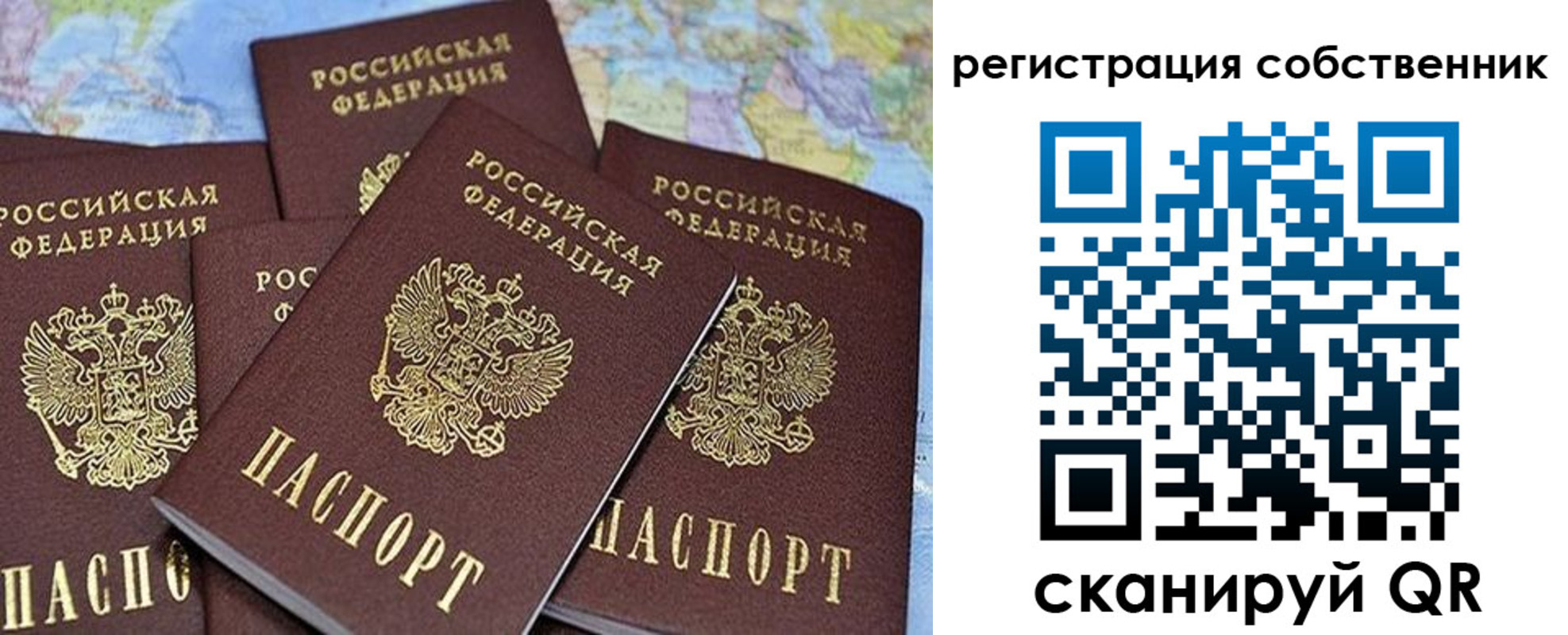 прописка для школы в Чистополье